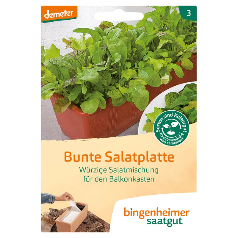 Saatgut Pflücksalat Cerbiatta Saatgut Pflücksalat Cerbiatta