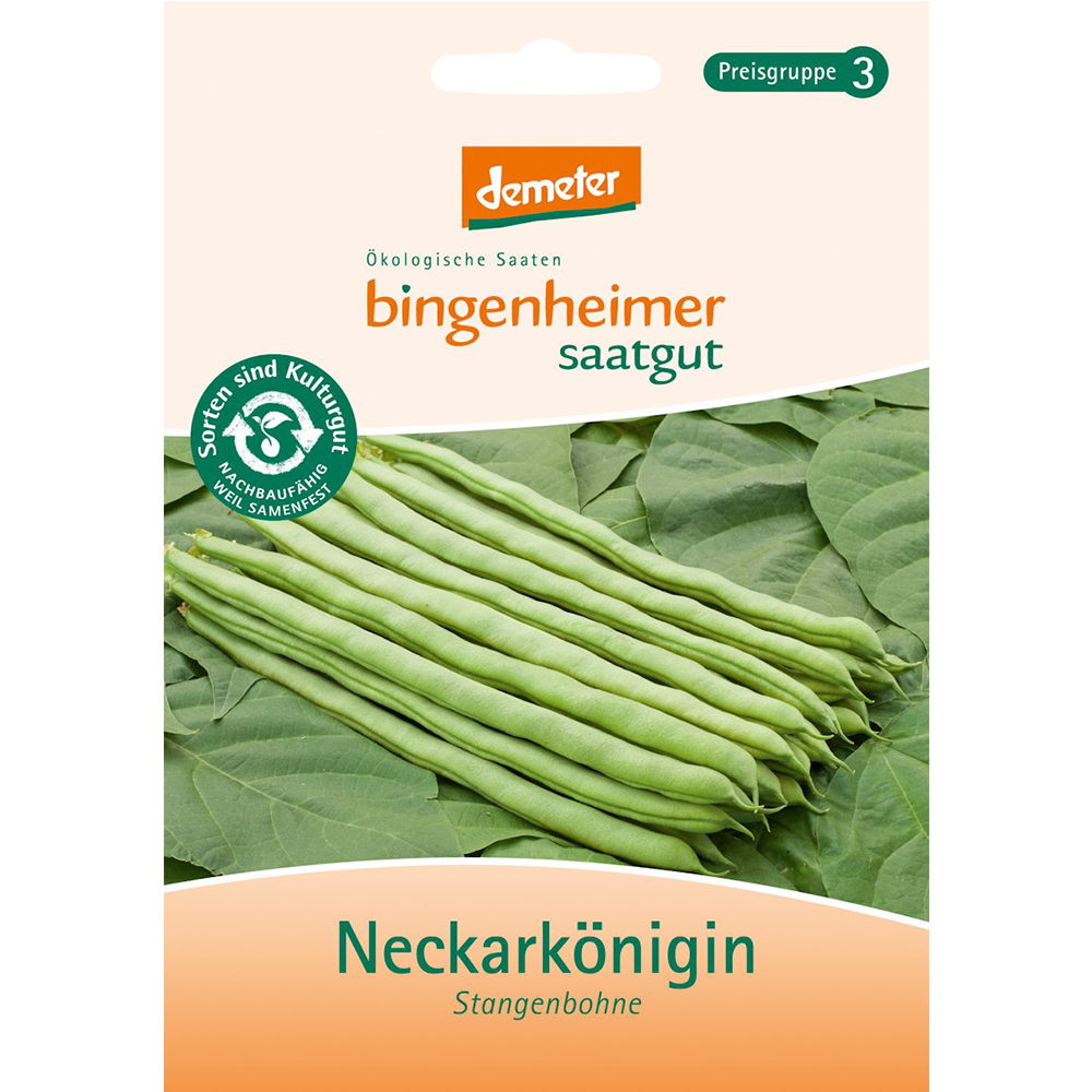 Saatgut Stangenbohne Neckarkönigin 30-40Stk