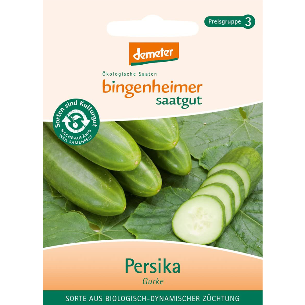 Saatgut Freilandgurke Persika 20-30Stk Saatgut Freilandgurke Persika 20-30Stk