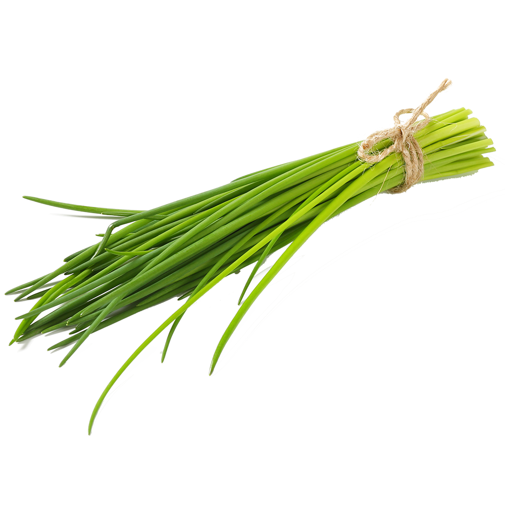Schnittlauch - Erba cipollina