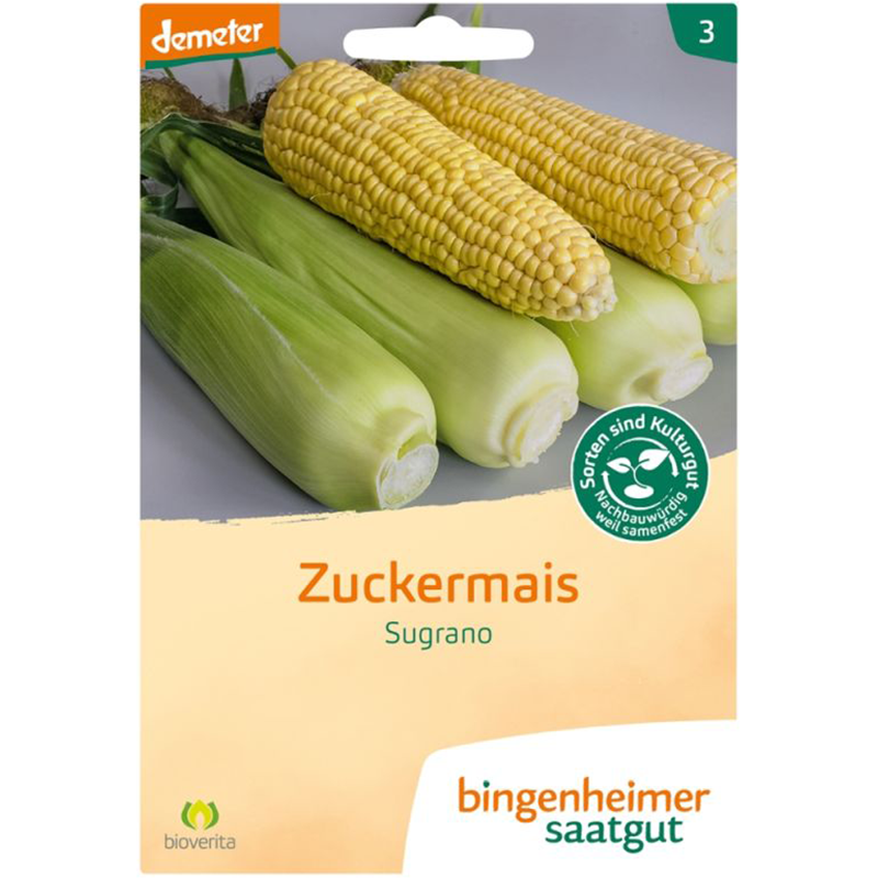Saatgut Zuckermais Sugrano ca. 40 Stk Saatgut Zuckermais Sugrano ca. 40 Stk