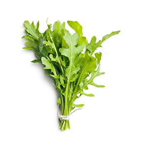 Rauke - Rucola Rauke - Rucola