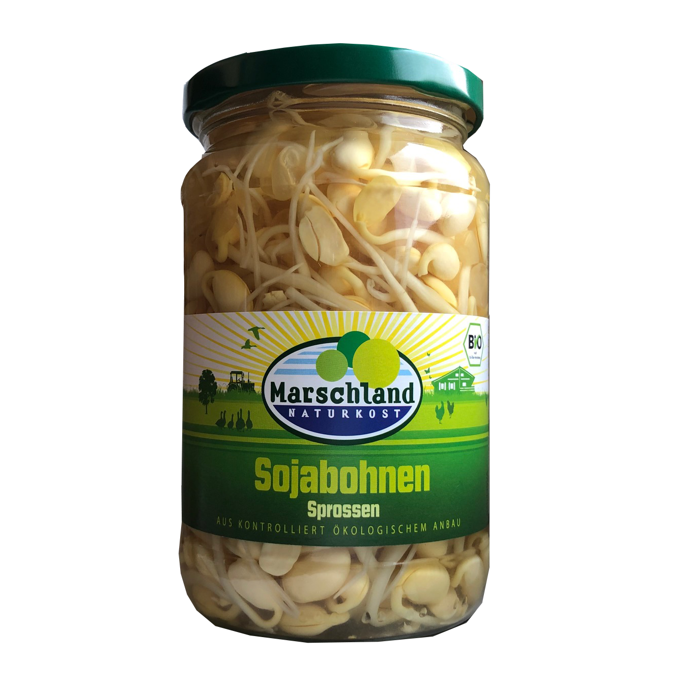 germogli di soia 
