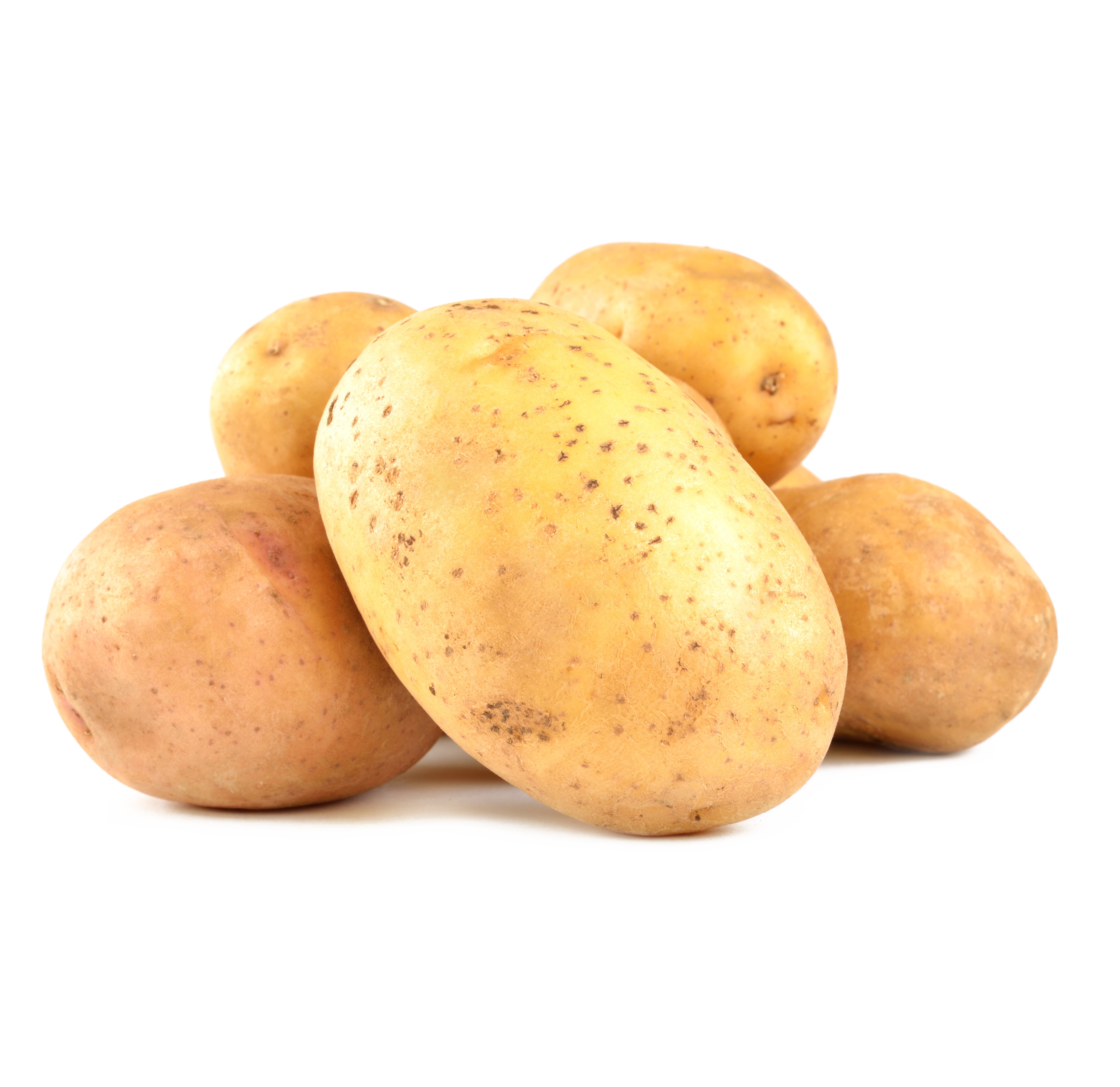 Kartoffel mehlig - Patate farinose Kartoffel mehlig - Patate farinose