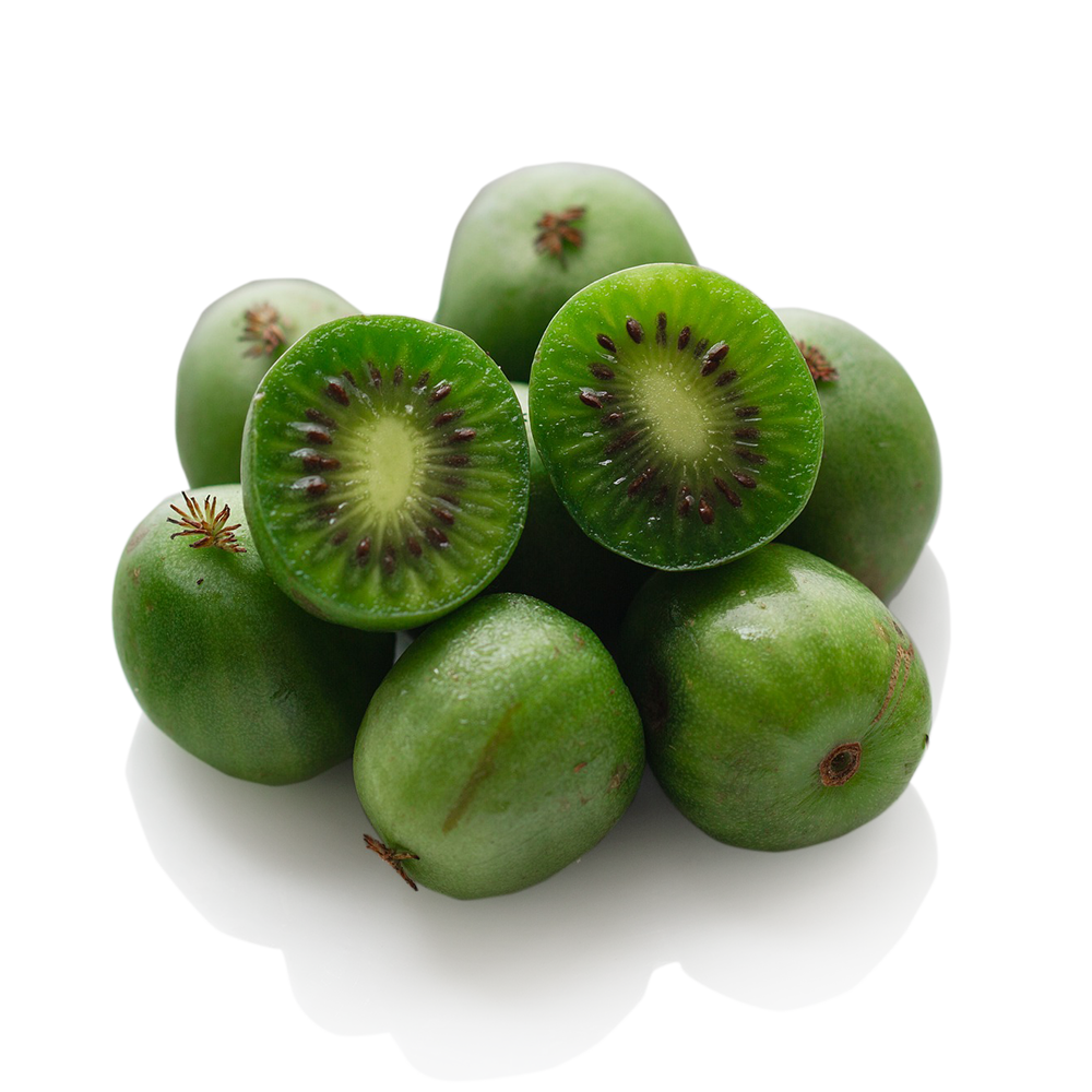 Kiwi - mini kiwi
