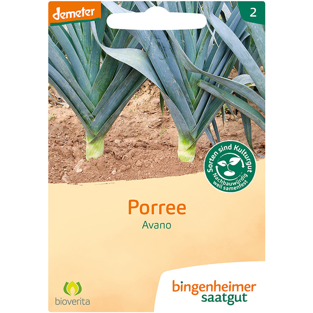 Saatgut Porree Avano 200Stk