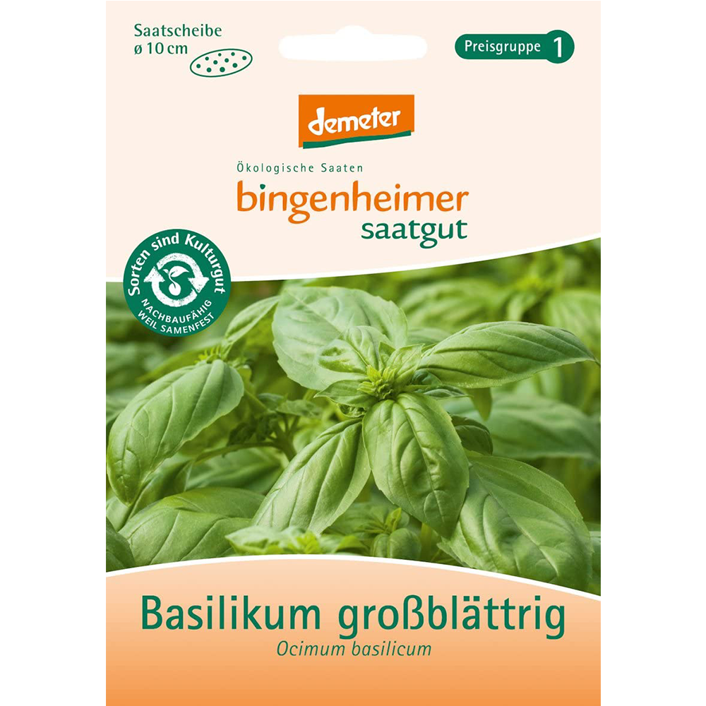 Saatgut Basilikum großblättrige 4 Töpfe