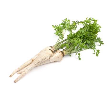Petersilienwurzel Petersilienwurzel