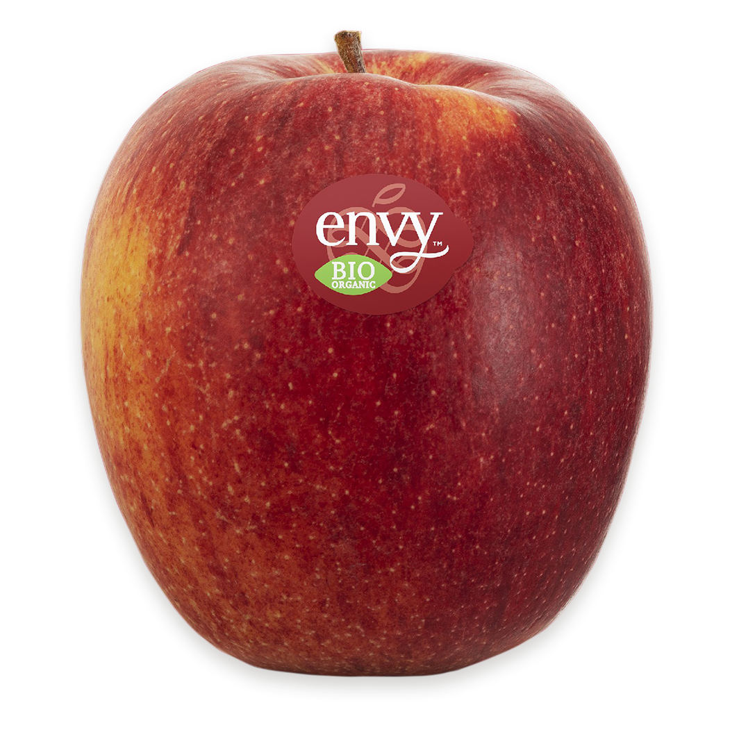 Äpfel Envy Scilate - mela envy Scilate