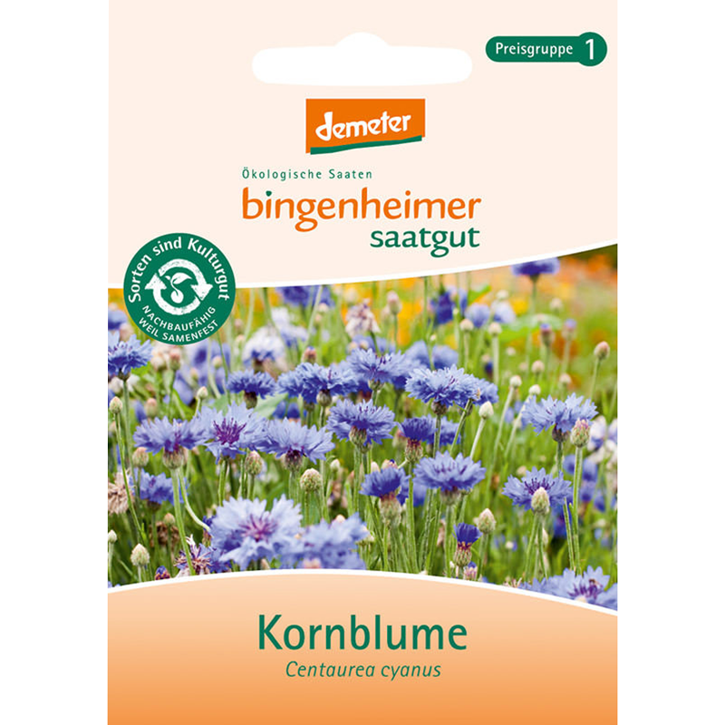 Saatgut Kornblume 3-4m² Saatgut Kornblume 3-4m²
