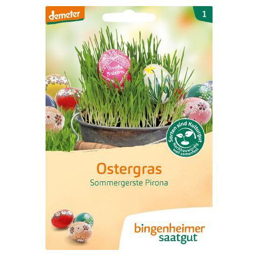 Ostergras Sommergerste Pirona Ostergras Sommergerste Pirona