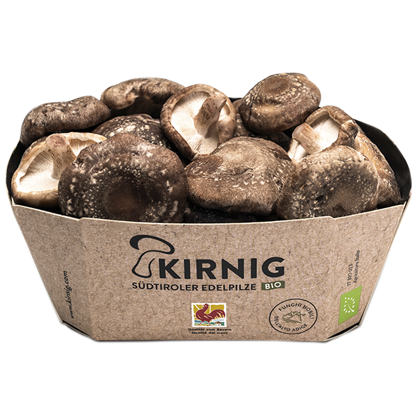 Pilze Shiitake - Funghi Shiitake Pilze Shiitake - Funghi Shiitake