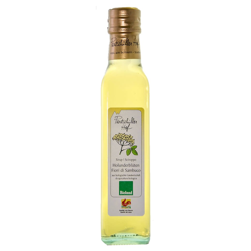 sciroppo di fiori di sambuco 