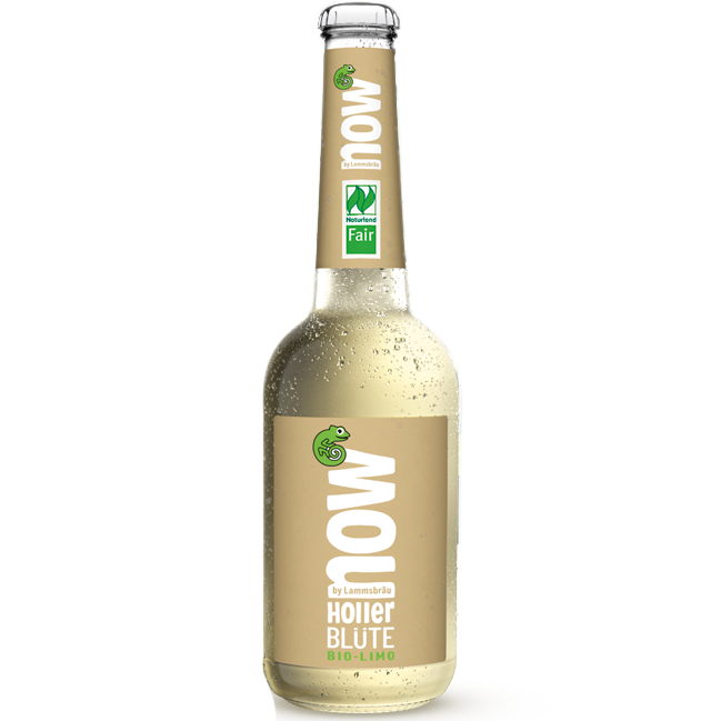limonata fiori di sambuco 