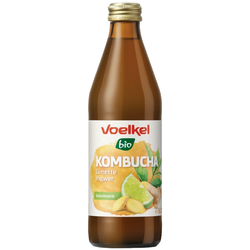 Kombucha Limette & Ingwer 
