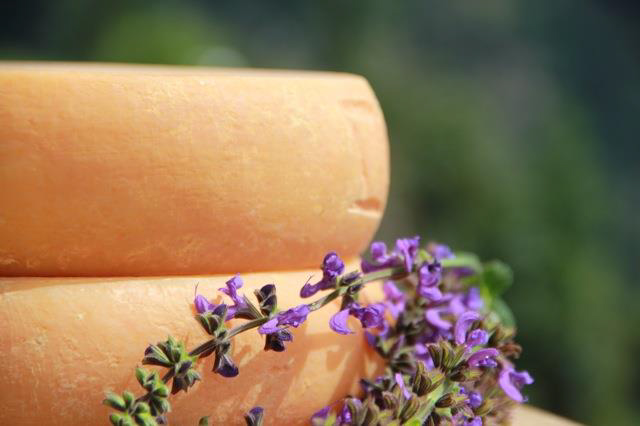Gonda Almkäse Gonda Almkäse