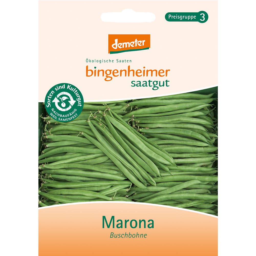 Saatgut Buschbohne Marona 3-5m² Saatgut Buschbohne Marona 3-5m²