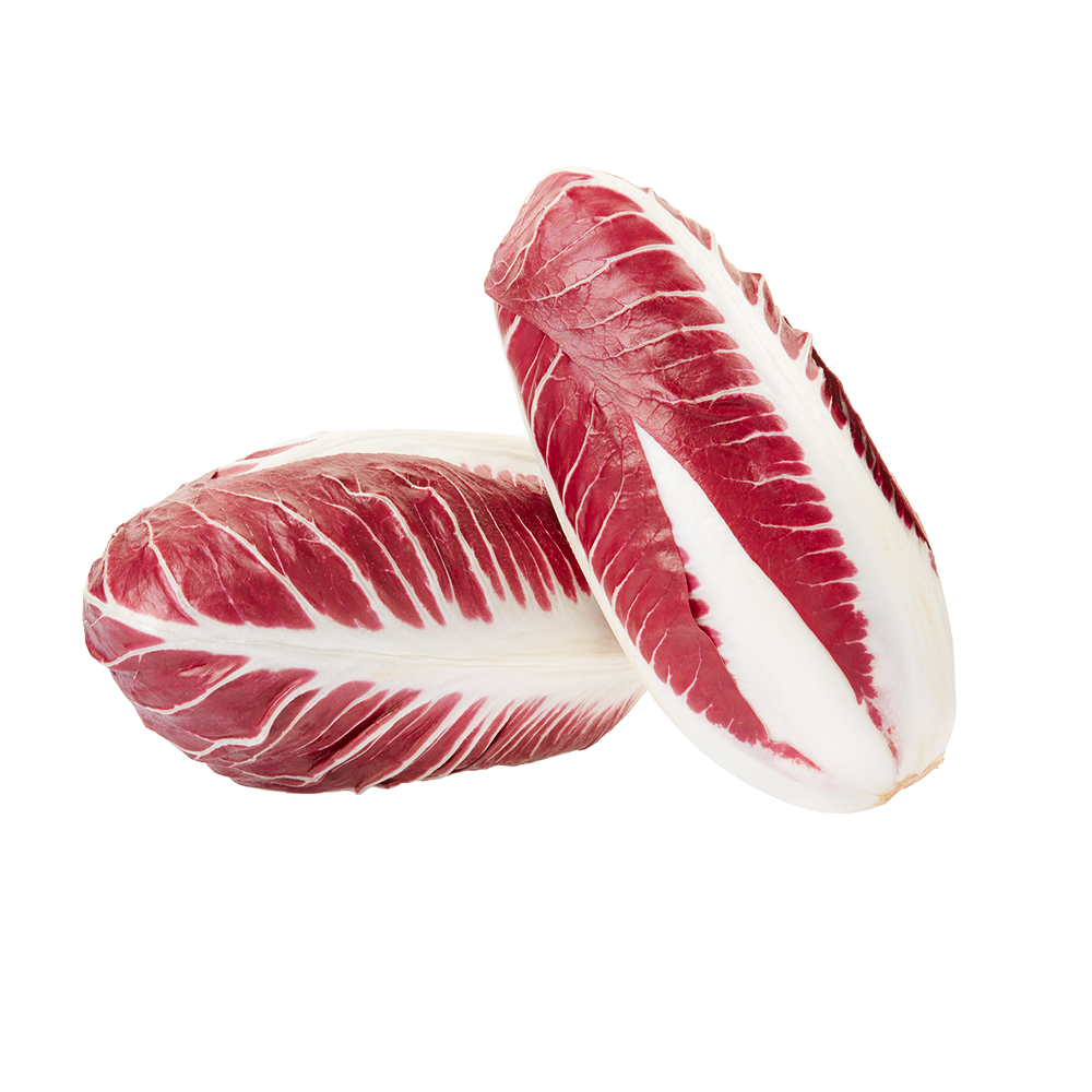 Radicchio di Treviso