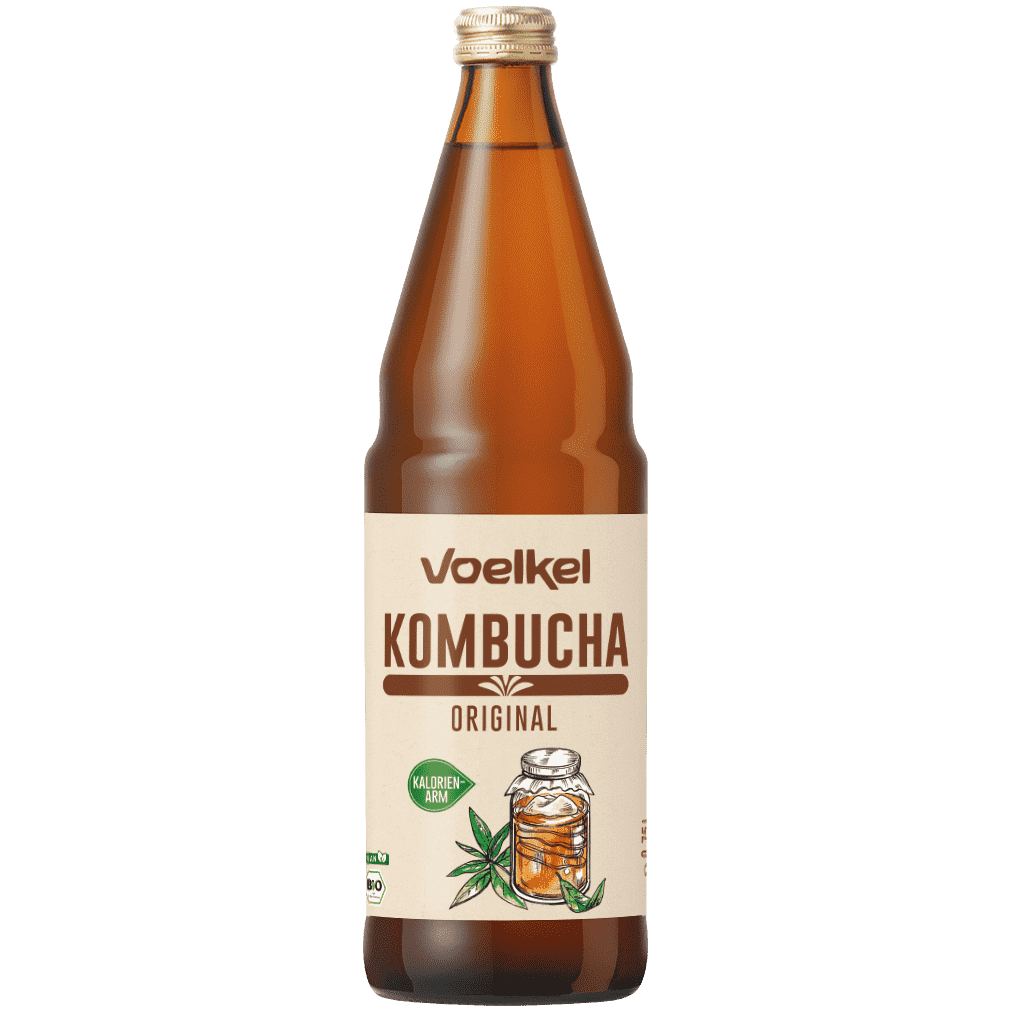 bevanda kombucha 