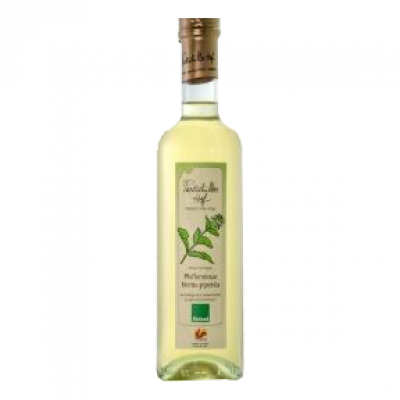 sciroppo di menta (500ml)