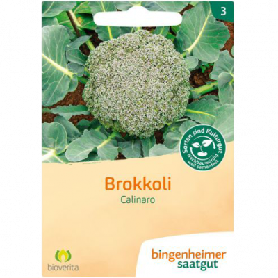 semi broccolo calinaro (30-40pian)