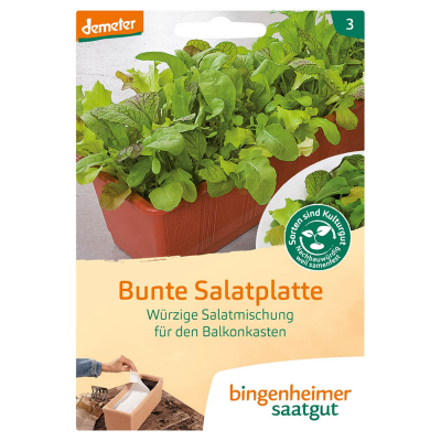 Saatgut Bunte Salatplatte (80x10cm)