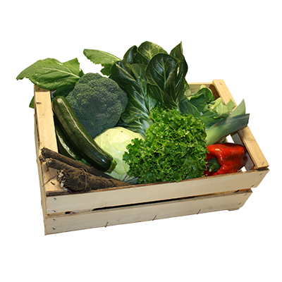 BioCesta verdura grande - consegnata