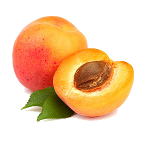 Aprikosen - Albicocche
