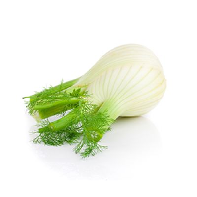 Fenchel - Finocchio