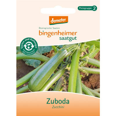 Saatgut Zucchini Zuboda (10-20Stk)