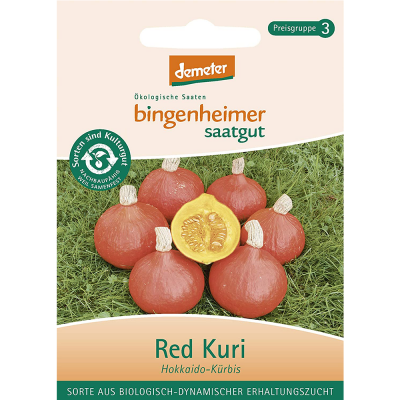semi zucca hokkaido Red Kuri (5-7pzi)