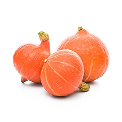 Kürbis - Zucca HOKKAIDO