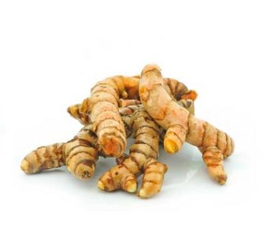 Kurkumawurzel - radice di curcuma