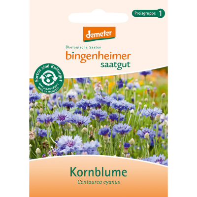 Saatgut Kornblume (3-4m²)