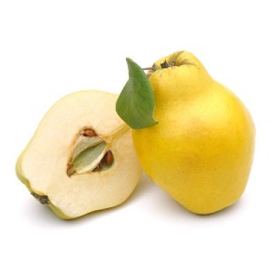 Quitten - melacotogna