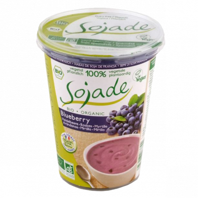 yogurt a base di soia con Bifidus mirtillo (400gr)